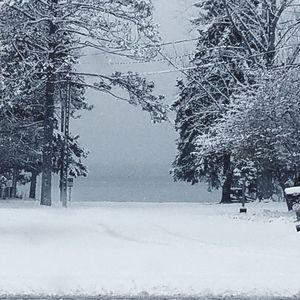 Meet your Posher, Russell